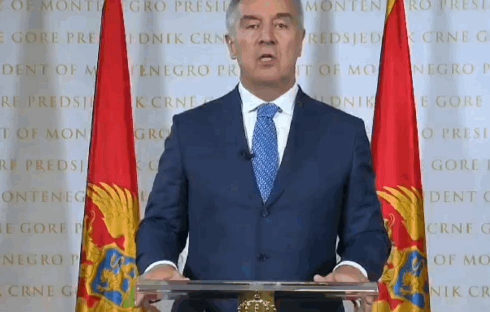 VINO PIJU MILO ĐUKANOVIĆ I VLADIMIR BEBA POPOVIĆ: Ko je Don <span style='color:red;'><b>Korleone</b></span>, a ko Pablo Eskobar?

